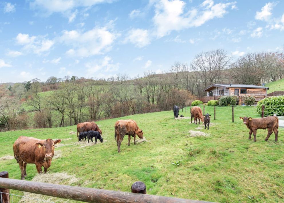 Black Hall Lodges, Knighton, Shropshire