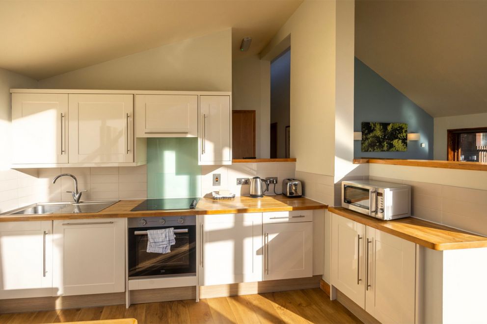 Forest of Dean Lodges