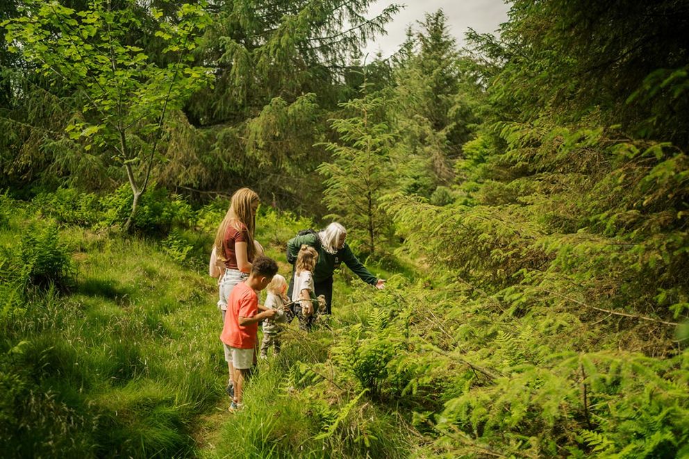 Forest of Dean Lodges