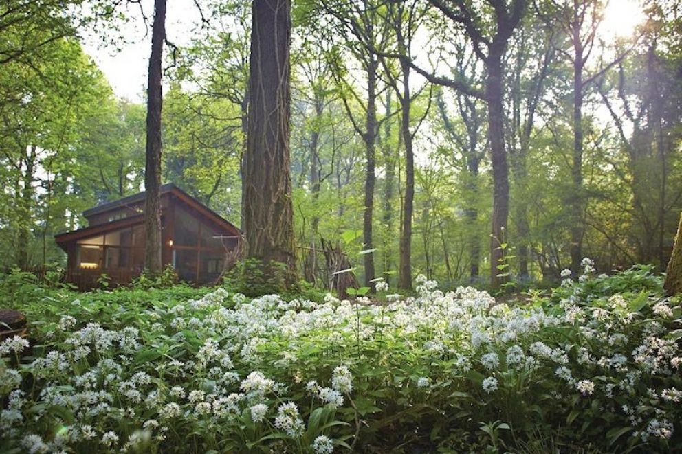 Forest of Dean Lodges Coleford, Gloucestershire Self Catering
