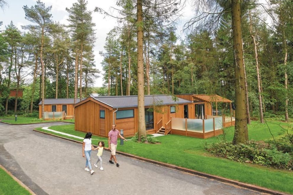 Landal Darwin Forest