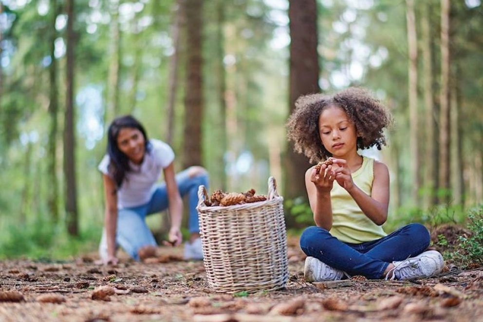 Landal Darwin Forest