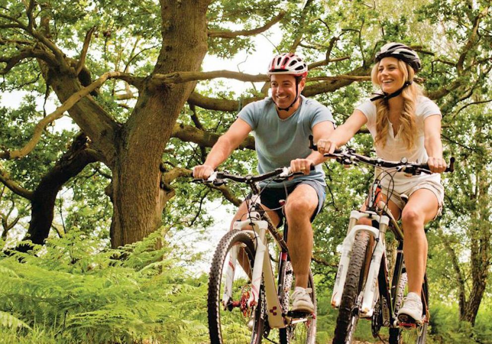 Sherwood Castle Holiday Forest Nottinghamshire