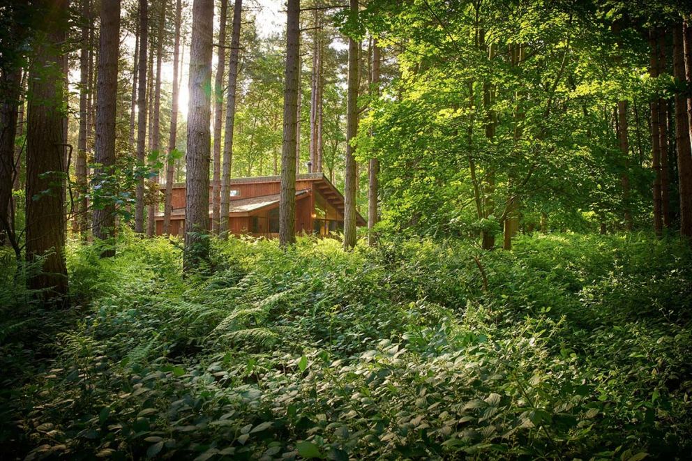 Sherwood Forest Lodges