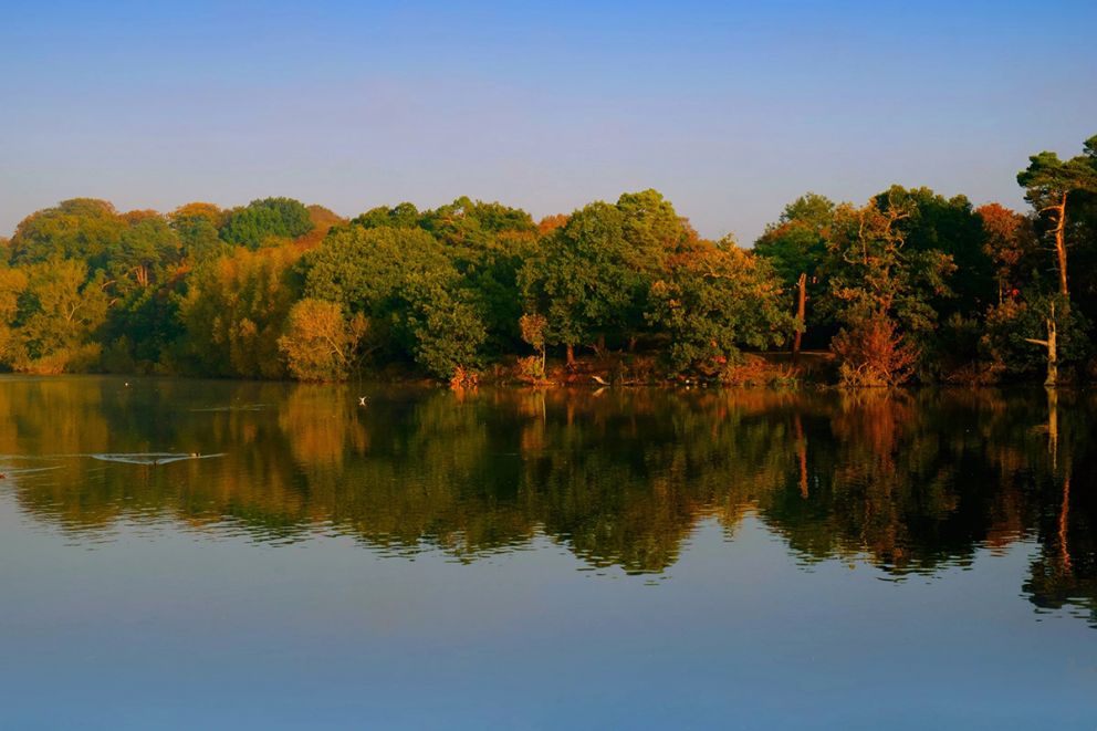 Sherwood Forest Lodges