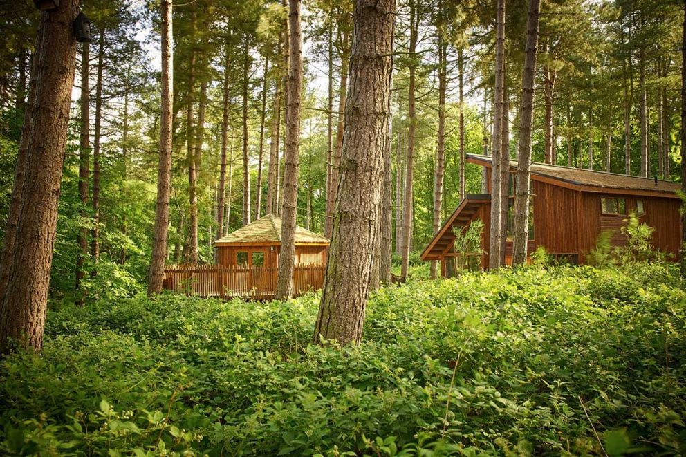 Sherwood Forest Lodges