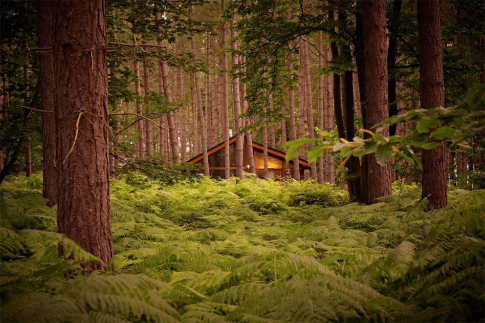 Sherwood Forest Lodges