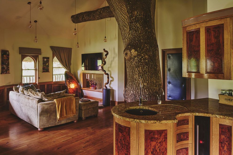 Stargazer Treehouse