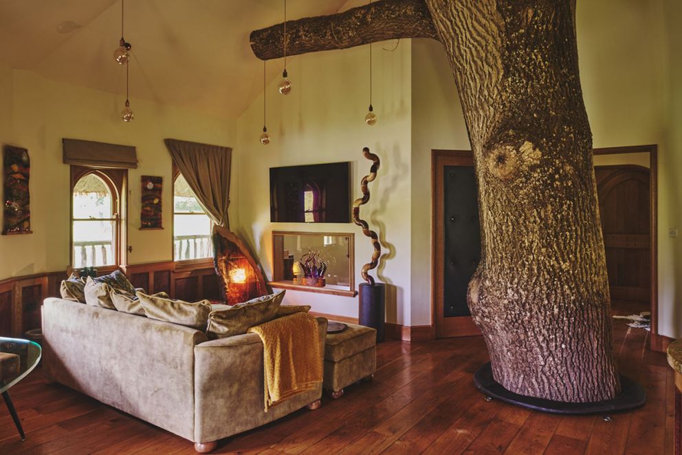 Stargazer Treehouse