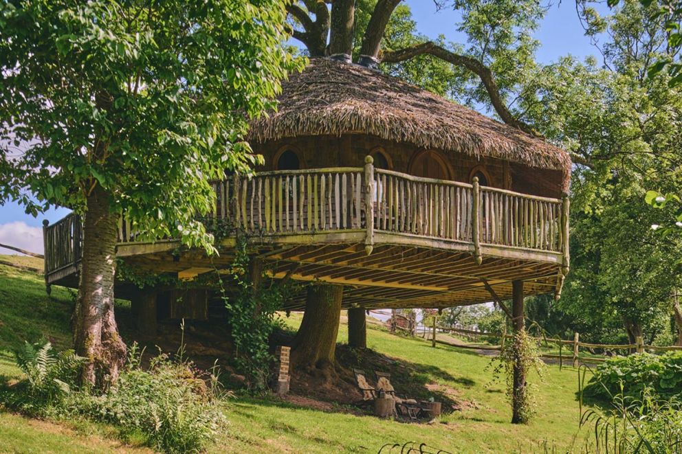 Stargazer Treehouse