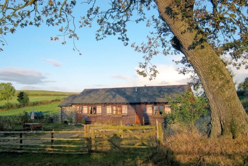 Stevannah Shropshire