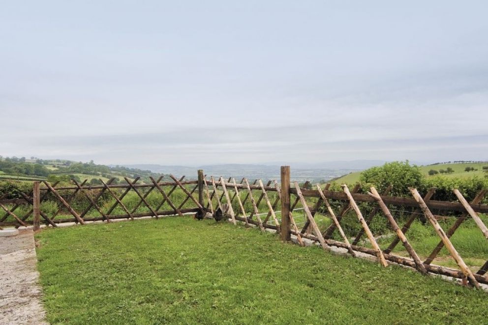 Stevannah Shropshire