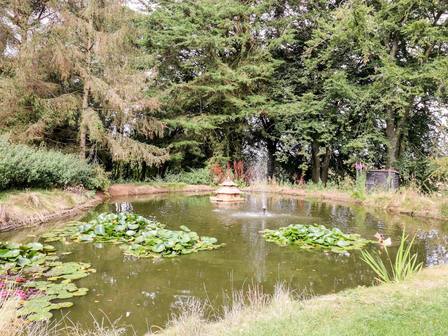 The Pool House Bendish near Whitwell, Hertfordshire Self Catering