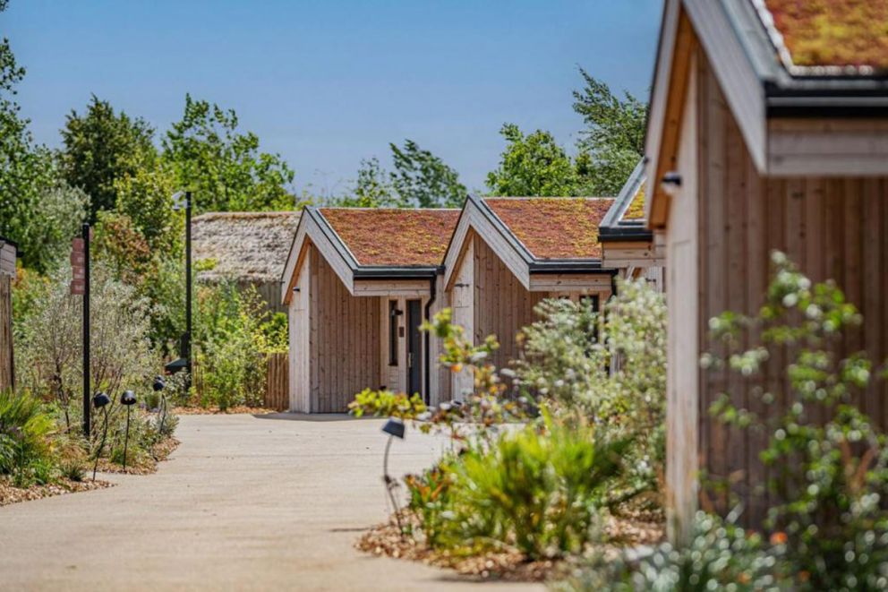 The Reserve at Chester Zoo