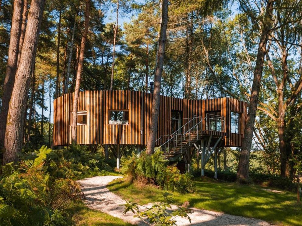 Treehouses -Sambucus Oxfordshire