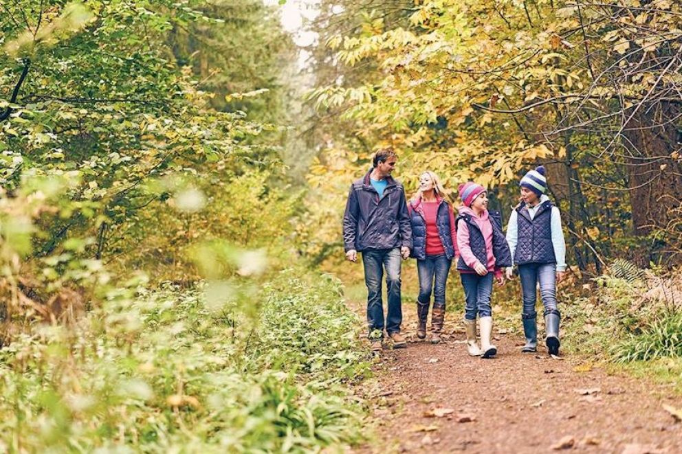 Whitemead Forest Park Gloucestershire
