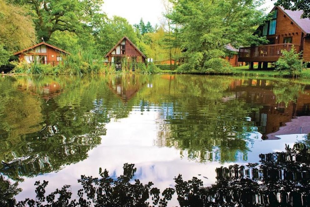 Whitemead Forest Park Gloucestershire