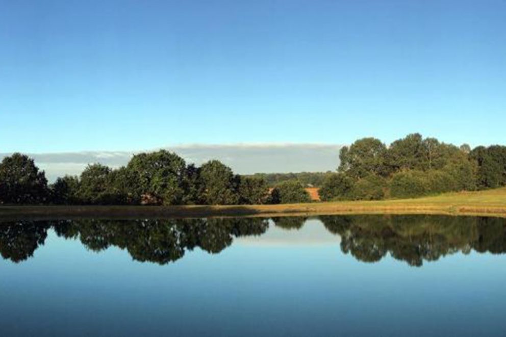 Cambridgeshire Lakes