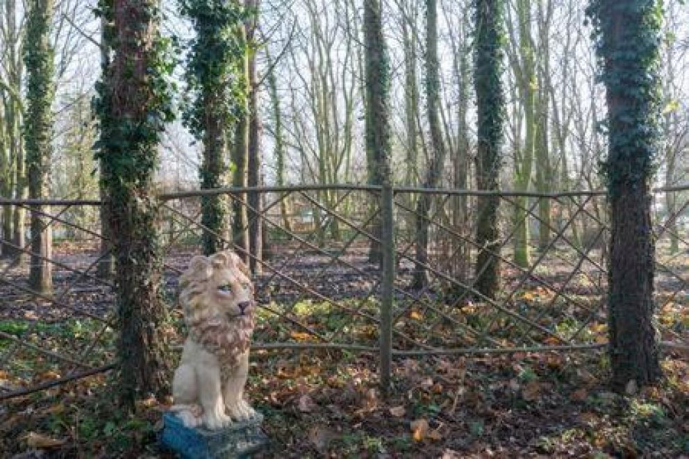 Magical luxury Treehouse for Two, Suffolk - quirky treehouse for rent