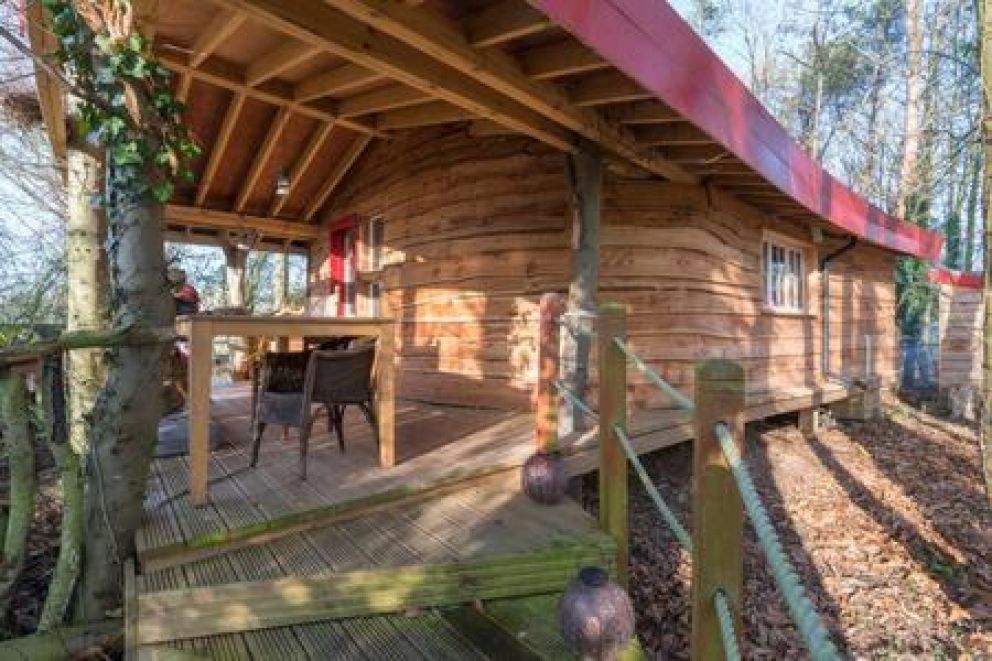 Magical luxury Treehouse for Two, Suffolk - quirky treehouse for rent