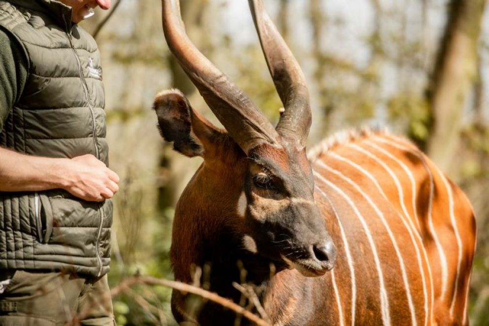 Majors Lodge - Watatunga Wildlife Reserve Norfolk