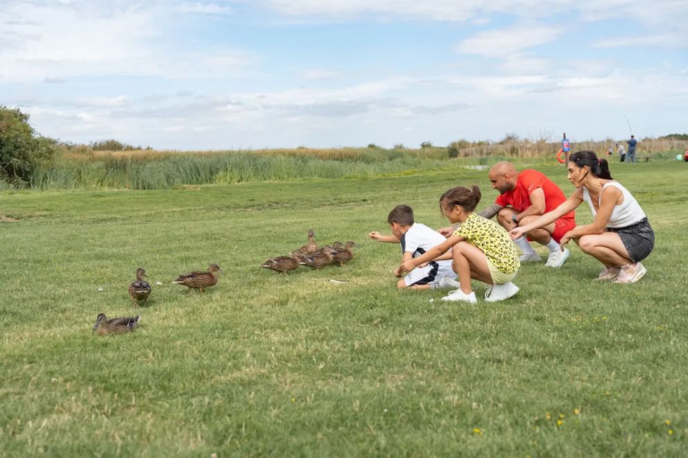 Steeple Bay Holiday Park Essex
