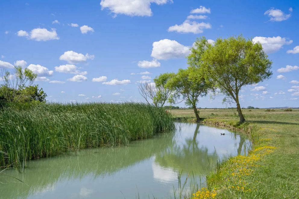 Steeple Bay Holiday Park Essex