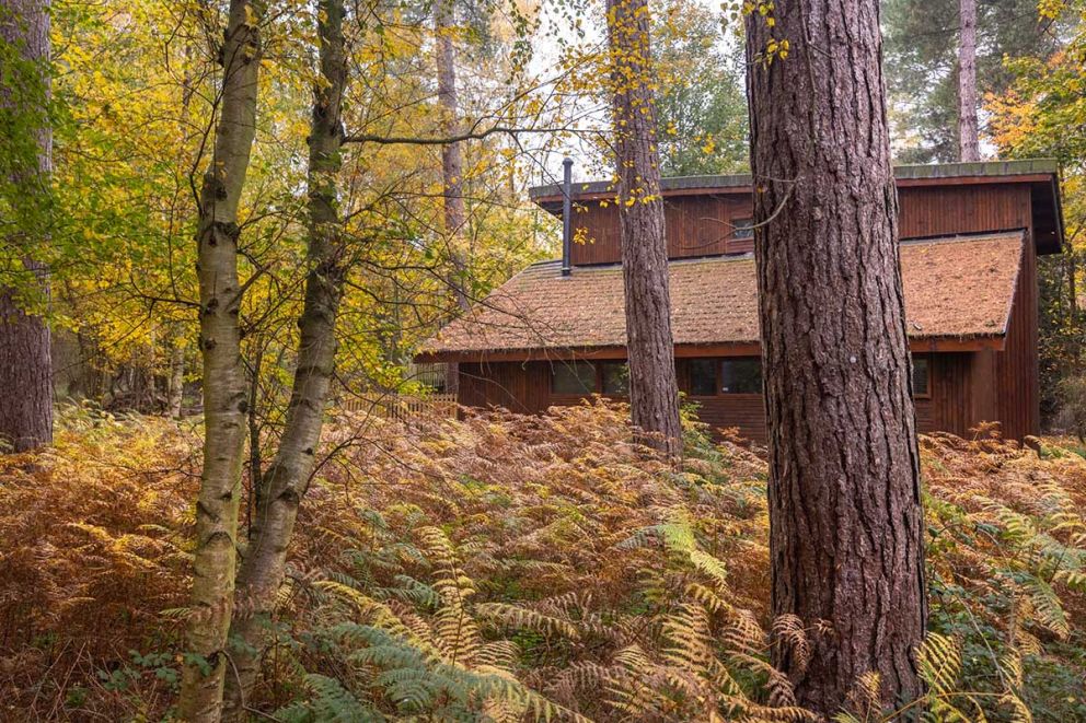 Thorpe Forest Lodges