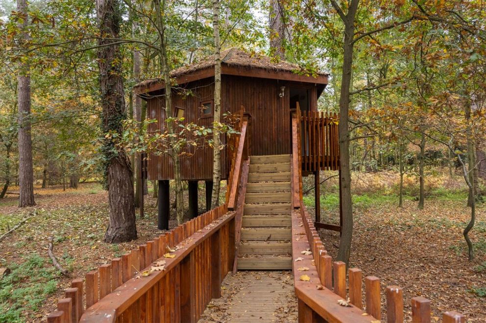 Thorpe Forest Lodges
