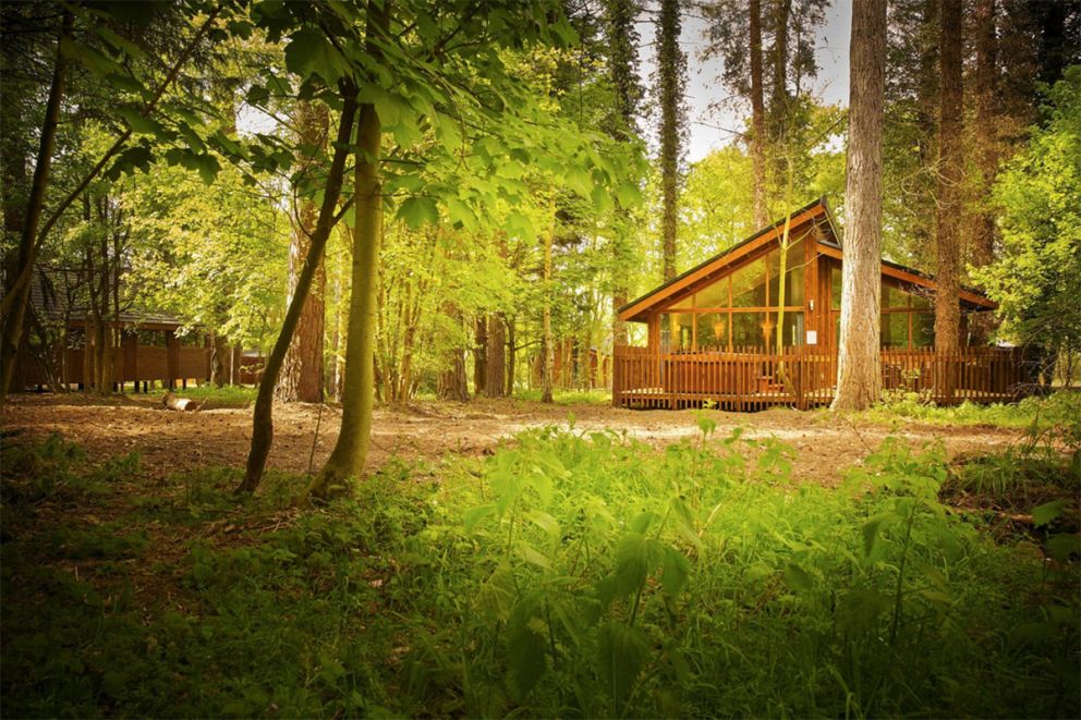 Thorpe Forest Lodges