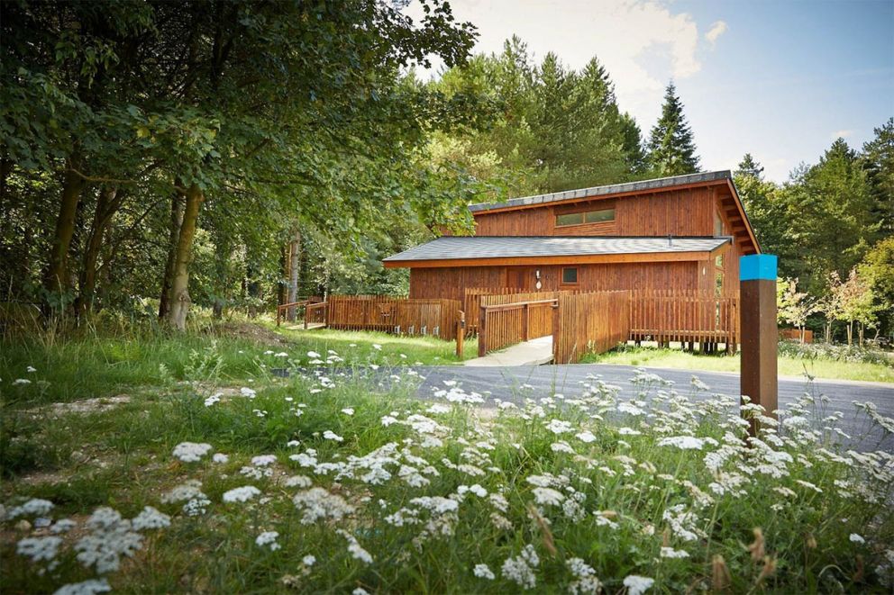 Thorpe Forest Lodges