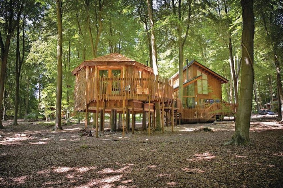 Thorpe Forest Lodges Norfolk