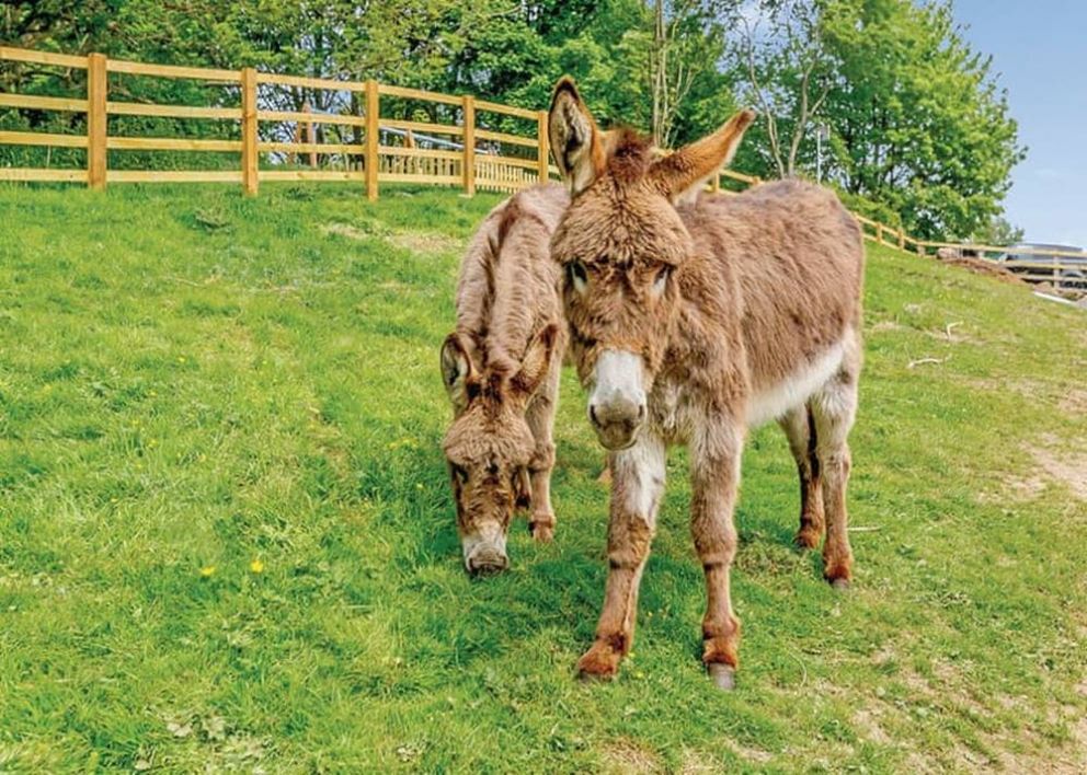 Aysgarth Lodges North Yorkshire