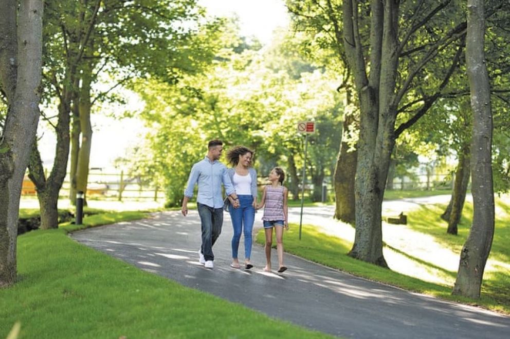 Aysgarth Lodges North Yorkshire