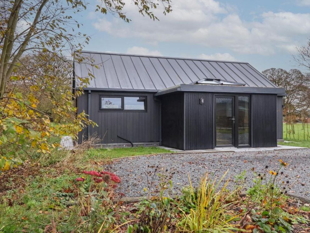 Blackcap East Yorkshire