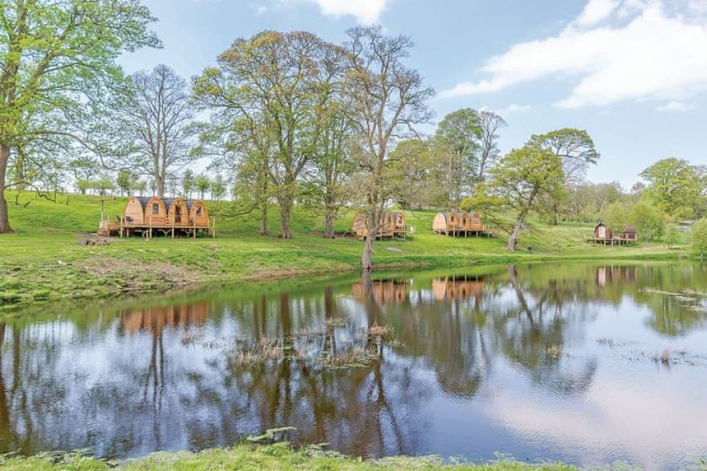 Blossom Plantation Pods Northumberland