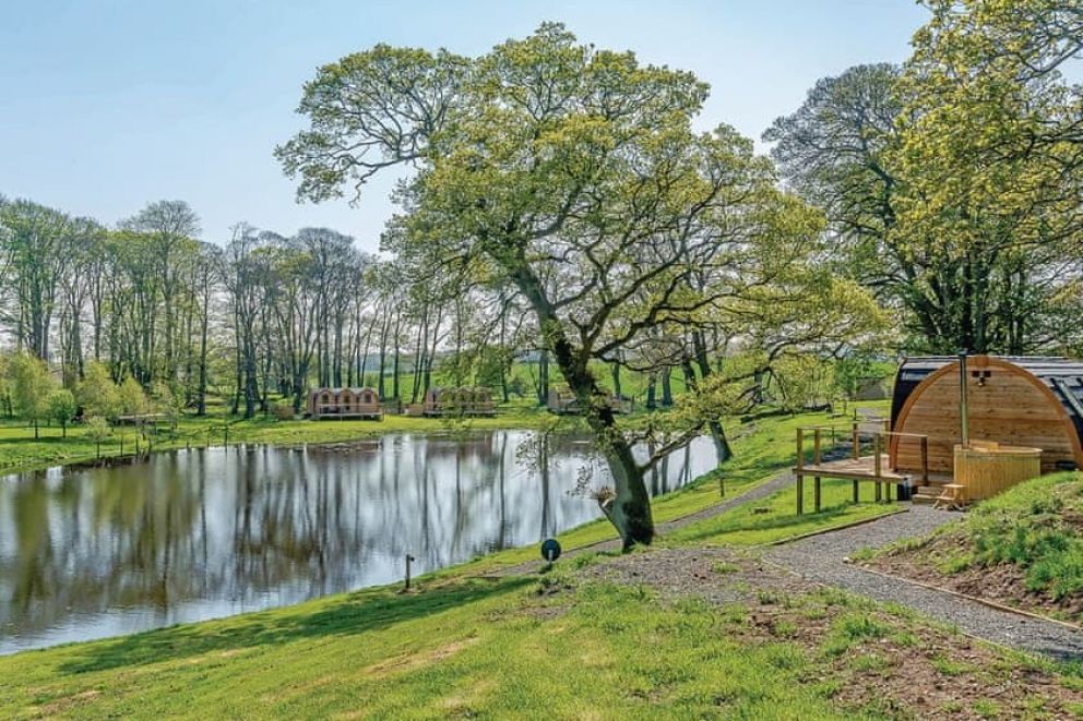 Blossom Plantation Pods Northumberland