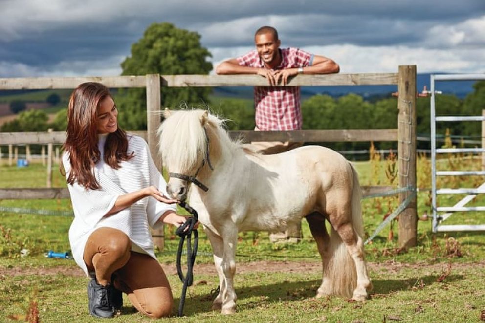 Calthwaite Hall Lodges Cumbria