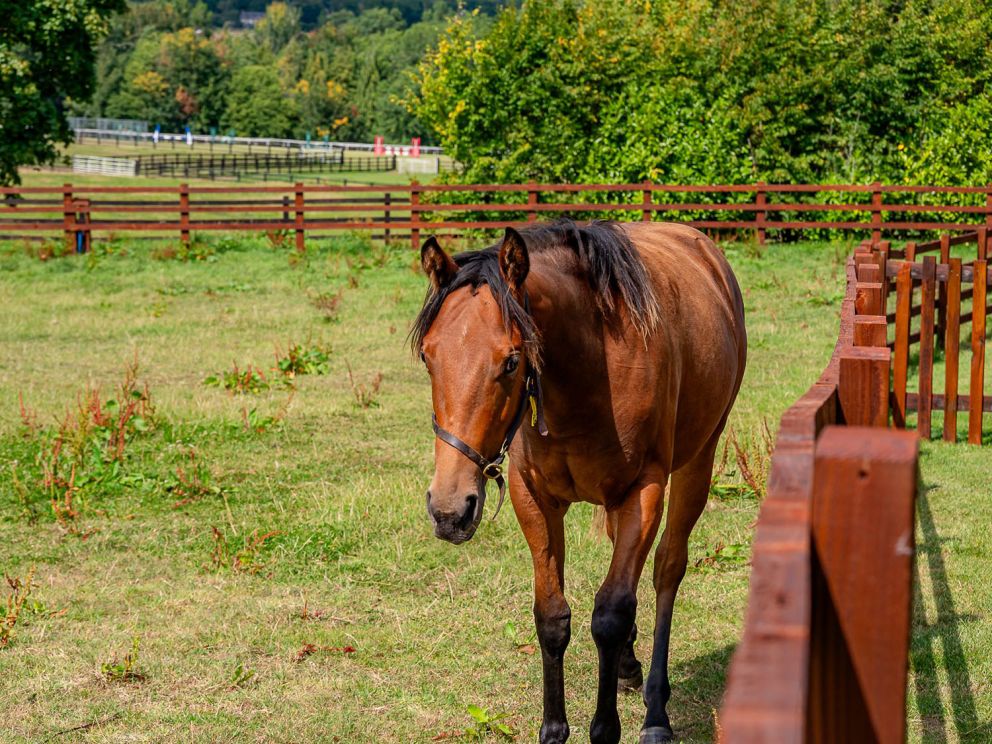 Constable Burton at Sun Hill Lodges