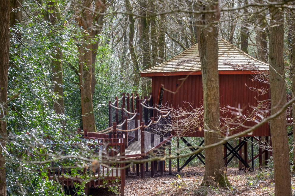 Delamere Forest