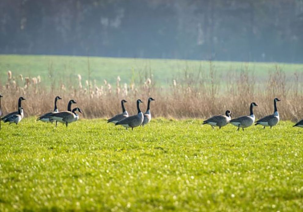 Delamere Lake Holiday Park Cheshire