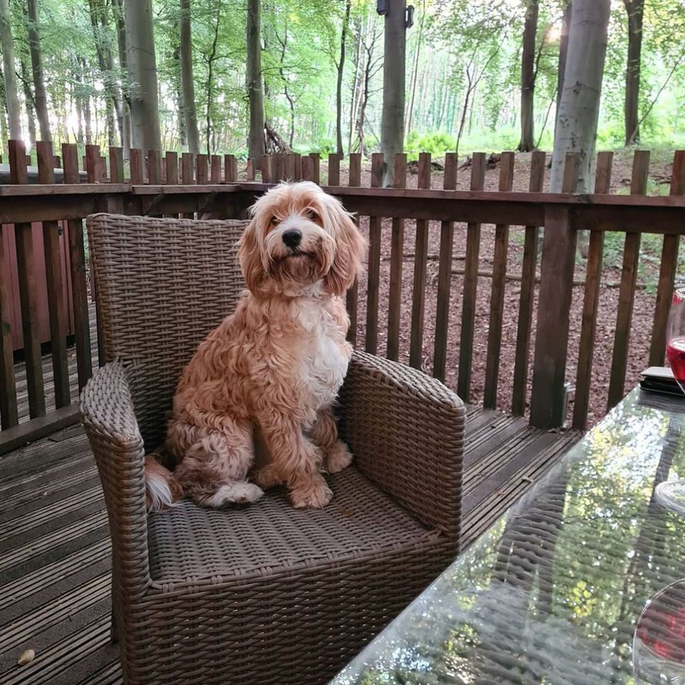 Forest Holidays Cropton