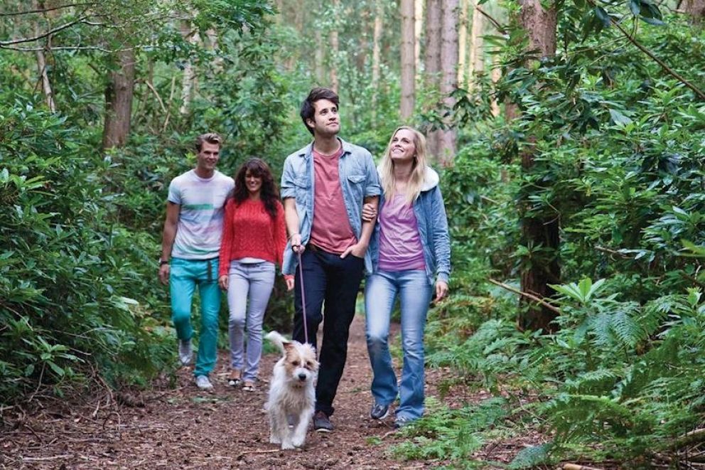 Griffon Forest North Yorkshire