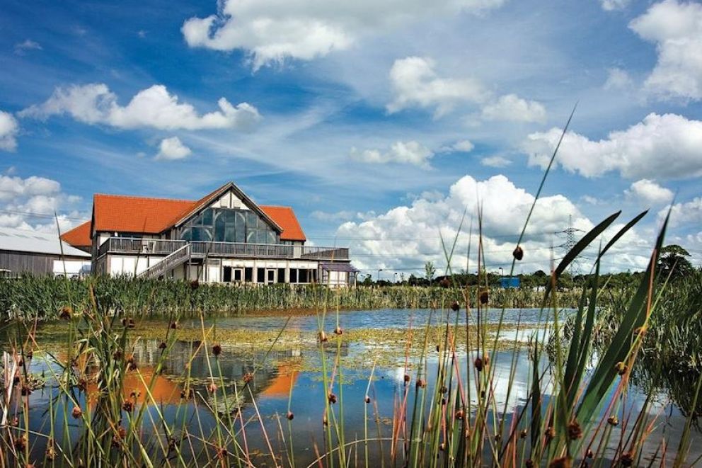 Griffon Forest North Yorkshire