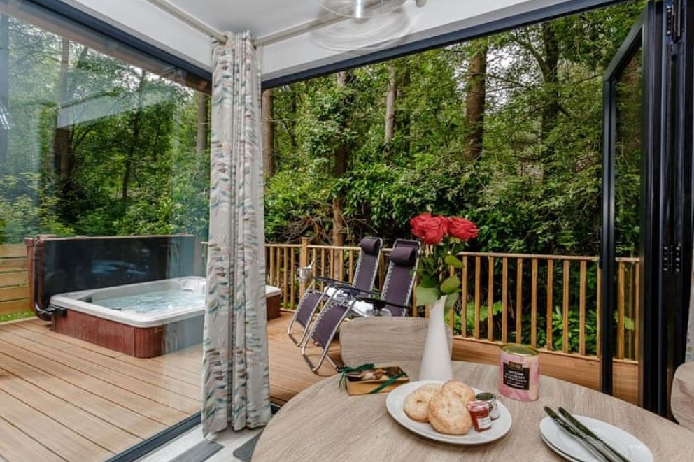 Griffon Forest North Yorkshire