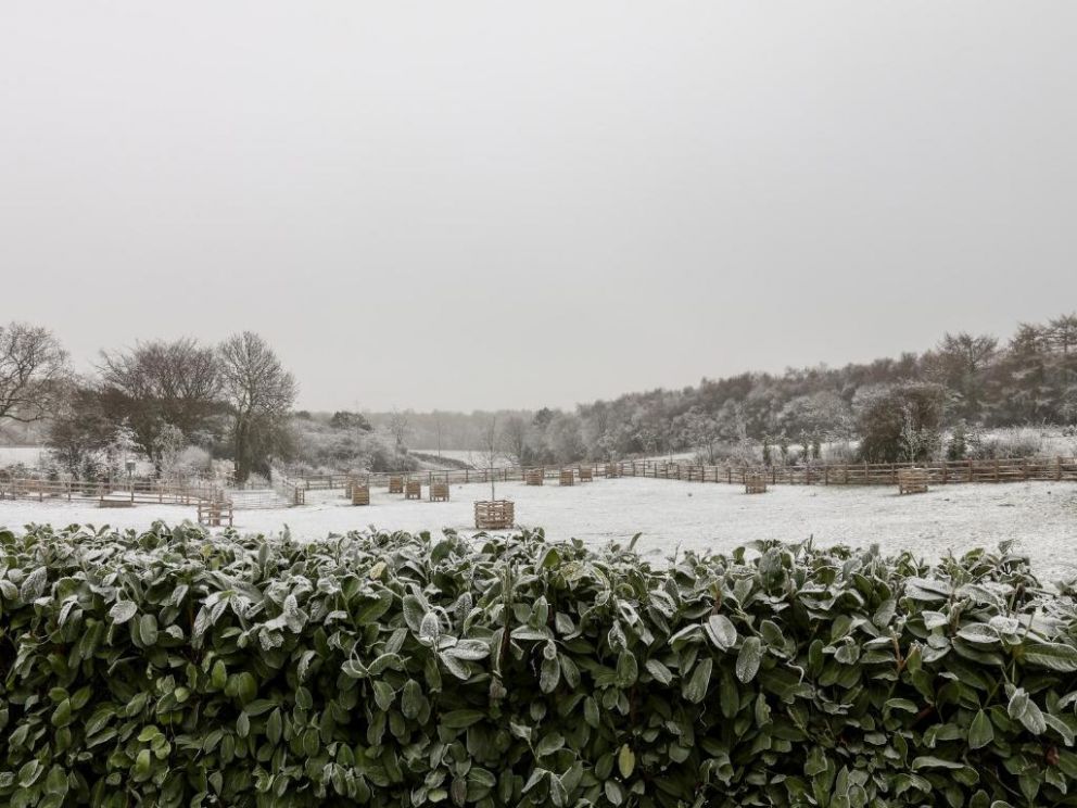 Grouse Lodge, Scarborough, North Yorkshire - dog friendly lodge to rent with hot tub and wood burning stove