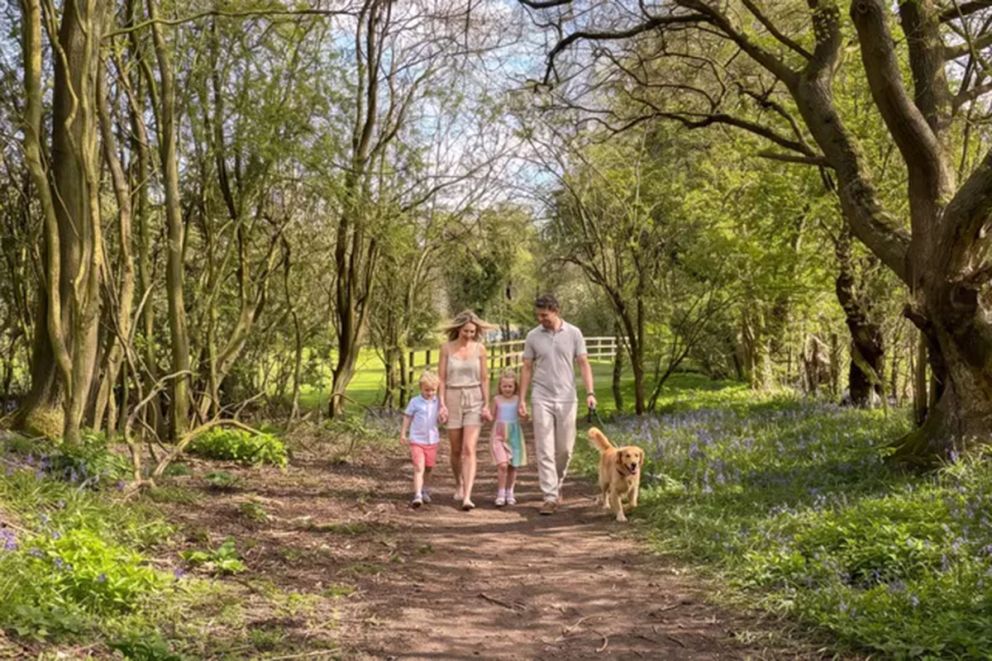 Kingfisher Holiday Park