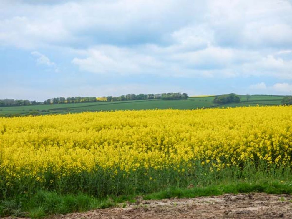 Liverton Lodges North Yorkshire