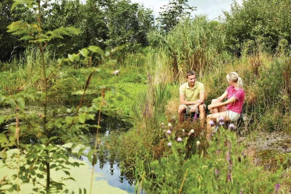 Meadow's End Lodges Cumbria