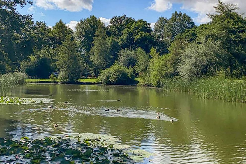 Paradise Lakeside Lodges